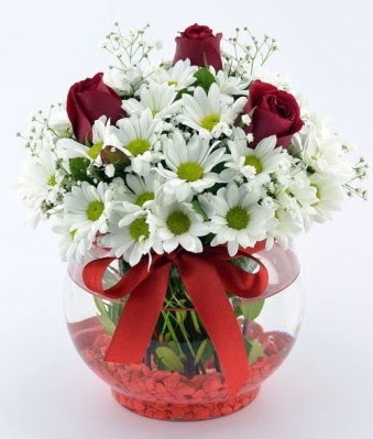 Fanusta 3 Gül ve Papatya  Gölbaşı çiçek siparişi yurtiçi ve yurtdışı çiçek siparişi  
