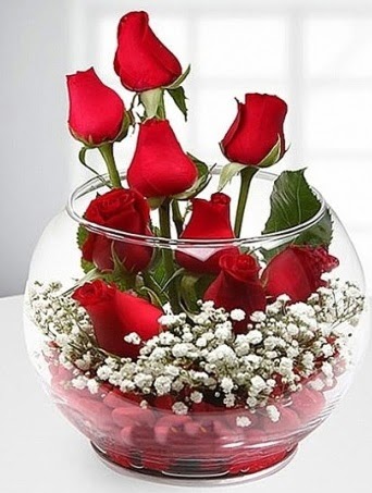 Kırmızı Mutluluk fanusta 9 kırmızı gül  Gölbaşı çiçekçi güvenli kaliteli hızlı çiçek 