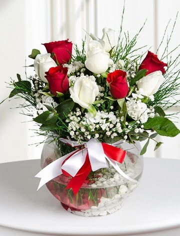 A�k K�resi  5 beyaz 5 k�rm�z� g�l fanusta  G�lba�� �i�ek sipari�i yurti�i ve yurtd��� �i�ek sipari�i 