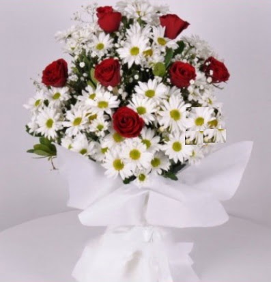 7 adet k�rm�z� g�l ve papatyalar krizantem  G�lba�� �i�ek sipari�i yurti�i ve yurtd��� �i�ek sipari�i 