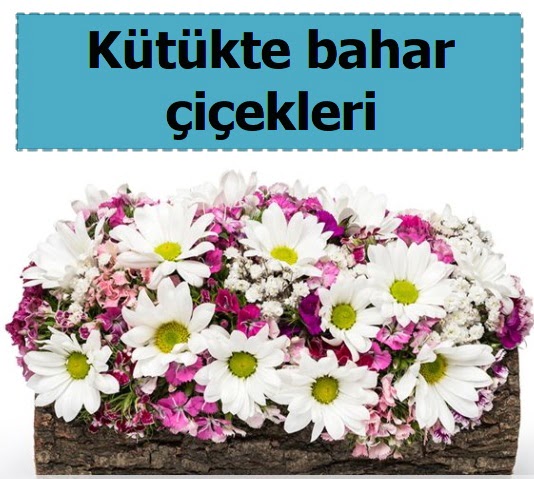 K�t�k i�erisinde k�r �i�ekleri  G�lba�� �i�ek online �i�ek sipari�i 