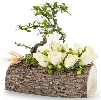 Do�al k�t�kte bonsai a�ac� ve 7 beyaz g�l  G�lba�� �i�ek g�nder cicekciler , cicek siparisi 
