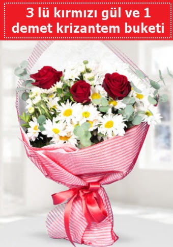 3 adet k�rm�z� g�l ve krizantem buketi  G�lba�� �i�ek g�nder cicekciler , cicek siparisi 