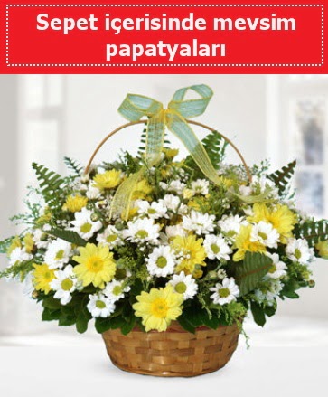 Sepet i�erisinde mevsim papatyalar�  G�lba�� ankara �i�ek servisi , �i�ek�i adresleri 