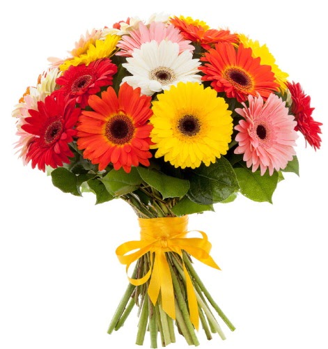 Gerbera demeti buketi  Ankara G�lba�� hediye sevgilime hediye �i�ek 