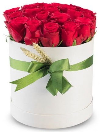 Özel kutuda 25 adet kırmızı gül çiçeği  Ankara Gölbaşı hediye sevgilime hediye çiçek 