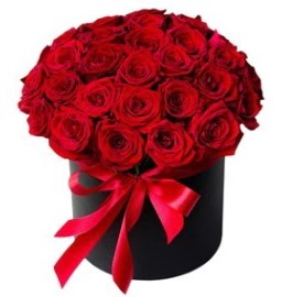 25 adet k�rm�z� g�l k�z isteme �i�e�i  G�lba�� �i�ek sipari�i yurti�i ve yurtd��� �i�ek sipari�i 