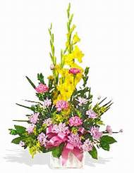  �i�ek�i G�lba�� �i�ek�i ma�azas�  sepet i�inde Glayor karanfil �zel tanzim
