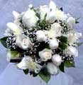 Beyaz g�llerden gelin eli
