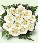  G�lba�� ucuz �i�ek g�nder  12 adet beyaz g�l buket