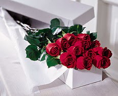  Ankara G�lba�� hediye sevgilime hediye �i�ek  �zel kutuda 12 adet g�l