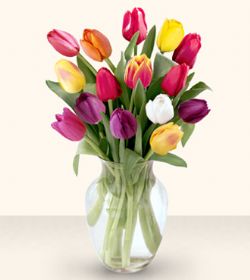  Gölbaşı çiçek yolla online çiçekçi , çiçek siparişi  13 adet cam yada mika vazoda laleler