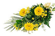 sari gerbera ve sari �i�ek   Ankaradaki �i�ek�iler G�lba�� cicek , cicekci 