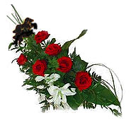 7 adet g�l ve kazablanka   G�lba�� ankara �i�ek servisi , �i�ek�i adresleri 