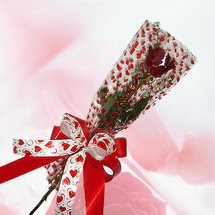 tek bir adet g�l seffafta   G�lba�� �i�ek kaliteli taze ve ucuz �i�ekler 