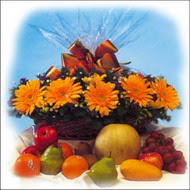 sepette gerbera ve meyvalar   G�lba�� �i�ek kaliteli taze ve ucuz �i�ekler 
