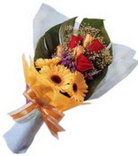 g�ller ve gerbera �i�ekleri   G�lba�� �i�ek g�nder cicekciler , cicek siparisi 