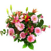 lilyum ve gerbera �i�ekleri - �i�ek se�imi -  Ankara G�lba�� 14 �ubat sevgililer g�n� �i�ek 