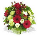 karanfil gerbera ve g�ller - d�s�nenelere �zel -  Ankara G�lba�� 14 �ubat sevgililer g�n� �i�ek 
