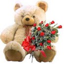 kocaman ayicik ve 10 g�l   G�lba�� �i�ek online �i�ek sipari�i 