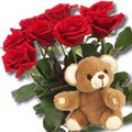 11 adet g�l ve ayicik buket   Ankara G�lba�� �i�ek�i uluslararas� �i�ek g�nderme 