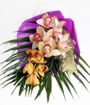  Ankara Glba iek gnderme  1 adet dal orkide buket halinde sunulmakta