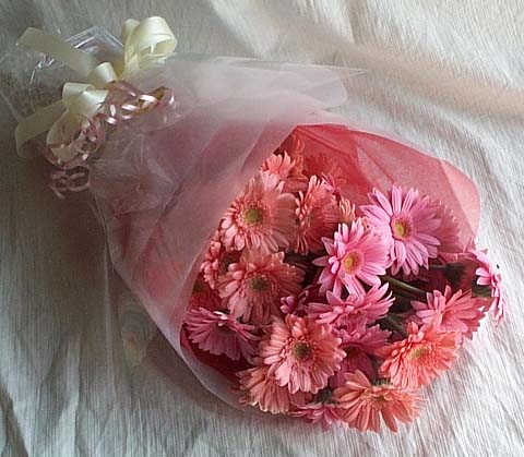 17 adet gerbera buketi  G�lba�� Ankara �i�ek yolla 