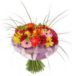karisik gerbera demeti 15 adet gerberalardan  G�lba�� �i�ek kaliteli taze ve ucuz �i�ekler 