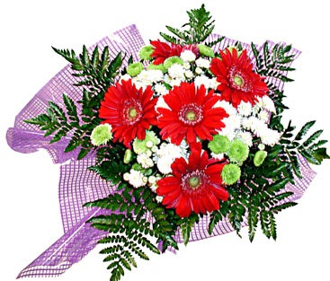 gerbera ve krizantem demeti  G�lba�� �i�ek kaliteli taze ve ucuz �i�ekler 