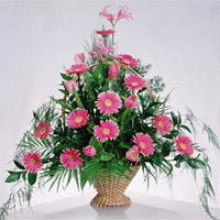 gerbera �i�eklerinden sepet tanzimi  G�lba�� �i�ek�iler  �i�ek sipari�i sitesi 