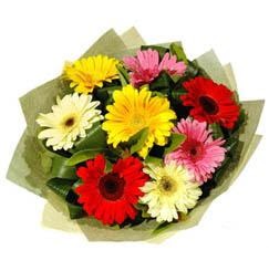 9 adet karisik gerbera demeti  G�lba�� �i�ek�iler  �i�ek sipari�i sitesi 