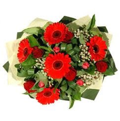  G�lba�� ankara �i�ek servisi , �i�ek�i adresleri   5 adet kirmizi g�l 5 adet gerbera demeti