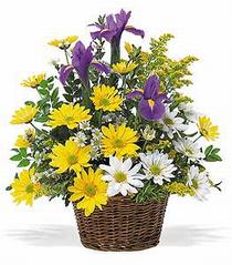  Ankara Gölbaşı hediye çiçek yolla  çiçek klasik kir sepeti sevenlere