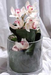  Gölbaşı çiçek yolla , çiçek gönder , çiçekçi   Cam yada mika vazo içerisinde tek dal orkide