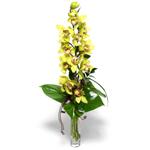  Ankara Gölbaşı çiçekçi uluslararası çiçek gönderme  1 dal orkide çiçegi - cam vazo içerisinde -