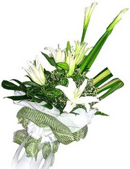  �i�ek sipari�i G�lba�� �i�ek�iler  3 dal kazablanka �i�egi ve yesillikler