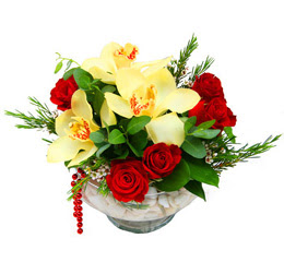  Ankara Gölbaşı 14 şubat sevgililer günü çiçek  1 kandil kazablanka ve 5 adet kirmizi gül