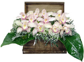  Gölbaşı ankara çiçek servisi , çiçekçi adresleri  sandik içerisinde 1 dal orkide