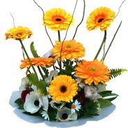 camda gerbera ve mis kokulu kir �i�ekleri  G�lba�� anneler g�n� �i�ek yolla 