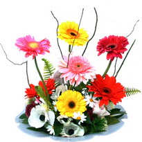  ankara G�lba�� �i�ek ma�azas� , �i�ek�i adresleri  camda gerbera ve mis kokulu kir �i�ekleri 