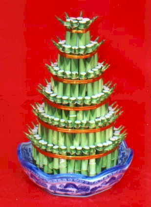 Lucky Bamboo sans melegi �i�egi  G�lba�� �i�ek yolla online �i�ek�i , �i�ek sipari�i 