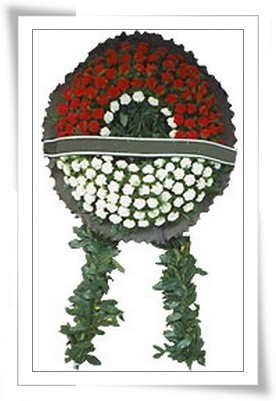  Ankara Gölbaşı hediye çiçek yolla  cenaze çiçekleri modeli çiçek siparisi