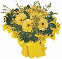  G�lba�� �i�ek kaliteli taze ve ucuz �i�ekler  9 adet sari g�zel gerbera