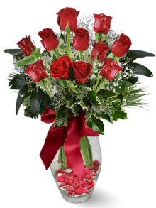 9 adet gül  Gölbaşı çiçek siparişi yurtiçi ve yurtdışı çiçek siparişi  kirmizi gül 