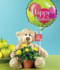  G�lba�� �i�ek kaliteli taze ve ucuz �i�ekler  Ayicik balon ve saksida sari g�ller