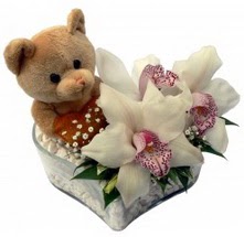  Ankara Gölbaşı çiçekçi uluslararası çiçek gönderme  15 cm boyutlarinda ayicik ve 1 kandil orkide