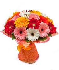 Renkli gerbera buketi  Gölbaşına çiçek , çiçekçi , çiçekçilik 