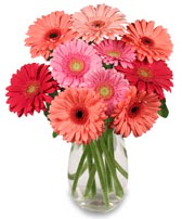 vazo i�erisinde 13 adet gerbera �i�e�i  G�lba�� �i�ek�i g�venli kaliteli h�zl� �i�ek 