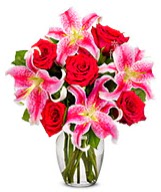 Vazoda 5 adet k�rm�z� g�l 2 dal kazablanka  G�lba�� �i�ek kaliteli taze ve ucuz �i�ekler 