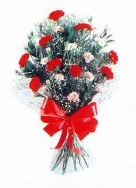  G�lba�� anneler g�n� �i�ek yolla  Karanfillerden g�zel bir demet